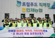 농협 하나로유통, 인제 자매결연마을 3곳서 일손돕기