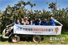 창원시의회 더불더불봉사단, 일손부족 감 수확 농장에서 땀흘려