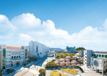 대구과학대학교 2019학년도 정시 모집