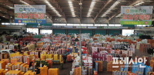 진주시 농산물도매시장 설맞이 종합대책 추진