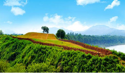 임진강변에서 만나는 구석기유적과 고구려 산성들