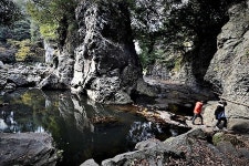 봄기운 가득! 제주 서남부의 따뜻한 풍광 속으로