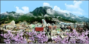 창녕 부곡온천 관광특구,온천 테마파크 부문 대상