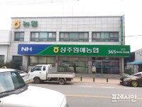 묻지마 관광 논란 상주원예농협 조합장, B이사 조합원 탈퇴