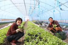 완주군 먹거리정책과 신설 농토피아 완주 실현