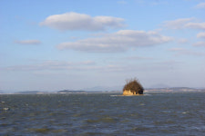 원형의 갯벌 섬 <탄도>와 목포 근대 시간여행