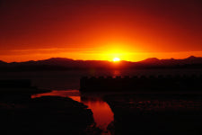 원형의 갯벌 섬 <탄도>와 목포 근대 시간여행