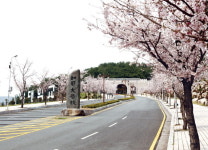 김해 가야대 학사구조개편 실시 했습니다