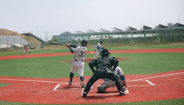 동해시, 제8회 동해무릉기 강원도 공무원 야구대회 개최