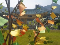 현충일, 국립대전현충원 방문 시 대중교통을 이용하세요!