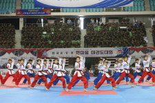 민·관·군,한마음으로 태권도통해 호국정신 기려