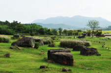 고창고인돌유적의 체계적인 보존관리 위해 실태조사 추진