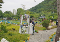 삼척미로정원, 체험·이벤트 장소로 인기