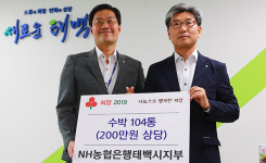 NH농협 태백시지부, 수박 104통 기탁