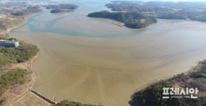 사천 광포 · 남해 동대만 갯벌 생태적 가치 높다