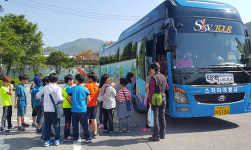 태백 발원지 축제, 시티투어버스 운영