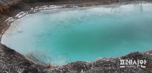 거제 둔덕일대 양식어장 피해 입었어요