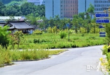 투기세력 놀이터 전락우려,  경북도청 신도시 전통한옥마을