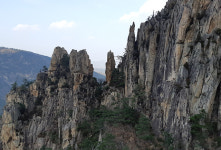 동해시, 무릉계곡 숲길 공동산림사업 착수