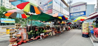 창원 반송동, 키 작고 옆으로 퍼지는 소나무 많아 명명
