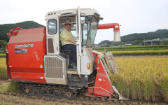 동해시, 올해 첫 벼베기 행사