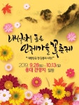 ‘인제 가을 꽃 축제’ 28일~10월 13일 용대리서 개최
