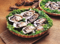 맛과 멋 건강이 어우러진 남도 힐링 1번지 "무안"을 찿아...