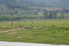북중 국경이 천지개벽 하고 있다