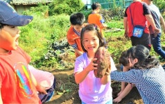 의흥초, 꼬마농부들의 풍성한 학교 텃밭 가을걷이 체험