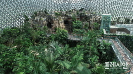 거제식물원 정글돔 사전 공개한다