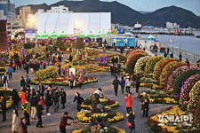 창원시, 오는 26일 제19회 마산국화축제  개최
