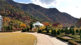 완주 고산자연휴양림 예약, 앞으로 산림청 숲나들e로