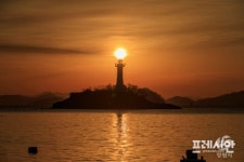 창원시 마산합포구 현동, “1년 내내 꽃길만 걸어요”