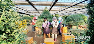 창원시 마산합포구 현동, “1년 내내 꽃길만 걸어요”