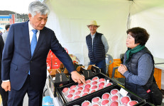 정선아리랑이 키운 ‘정선사과축제’ 성황리 폐막