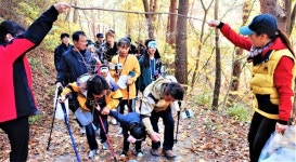 영양 일월초등학교, 2019 숲 페스티벌 열어