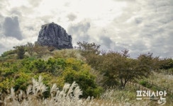 창원시 진해구 자은동, 명품 숲세권으로 전성기 노리다