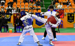 제24회 강원도지사기 태권도 대회 정선서 열전