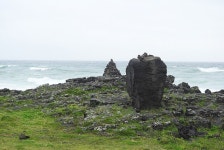 산과 들 셋, 이곳만은 지키자