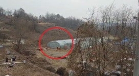 [단독] 군산시, 돼지사체 무더기 불법매립 농장 봐주기 의혹