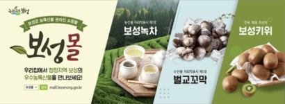 보성군 2월에 ‘보성몰’ 녹차‧키위 특별할인