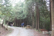 ‘알프스 하동의 숲’ 품격 있는 일·쉼·삶터로 재창조