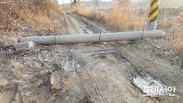 콘크리트 파일에 막힌 농로?…우포늪 낚시로 몸살