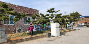 [포토] 김제 백산 학당 대촌마을엔 바람개비 동산 있다