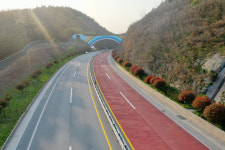 완도군, 국도13호선 불목~원동 구간 가로수(홍가시) 8천주 식재