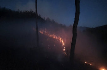 무주 야산서 해질녘 '산불'...임야 0.05 소실