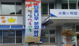 태백 철암단풍마을, 23일 단풍나무 분양