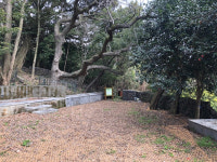 한남리 본향당 향토유형유산 제30호 지정