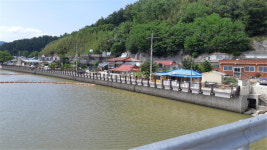 영덕군,남정면 부흥리 경관형 홍수벽으로 침수 차단
