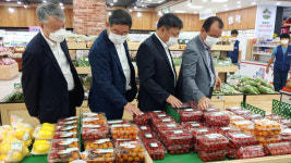 농협 조합감사위, 춘천 신북농협 로컬푸드직매장·토마토 출하현장 점검